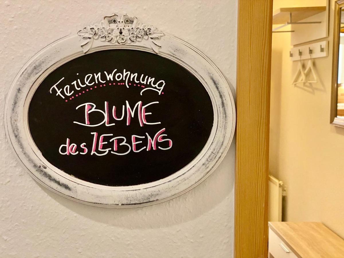 Gesundheitshof Denker Leilighet Reußenköge Eksteriør bilde